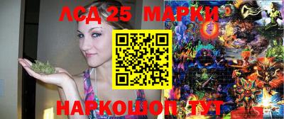 стаф Кимры