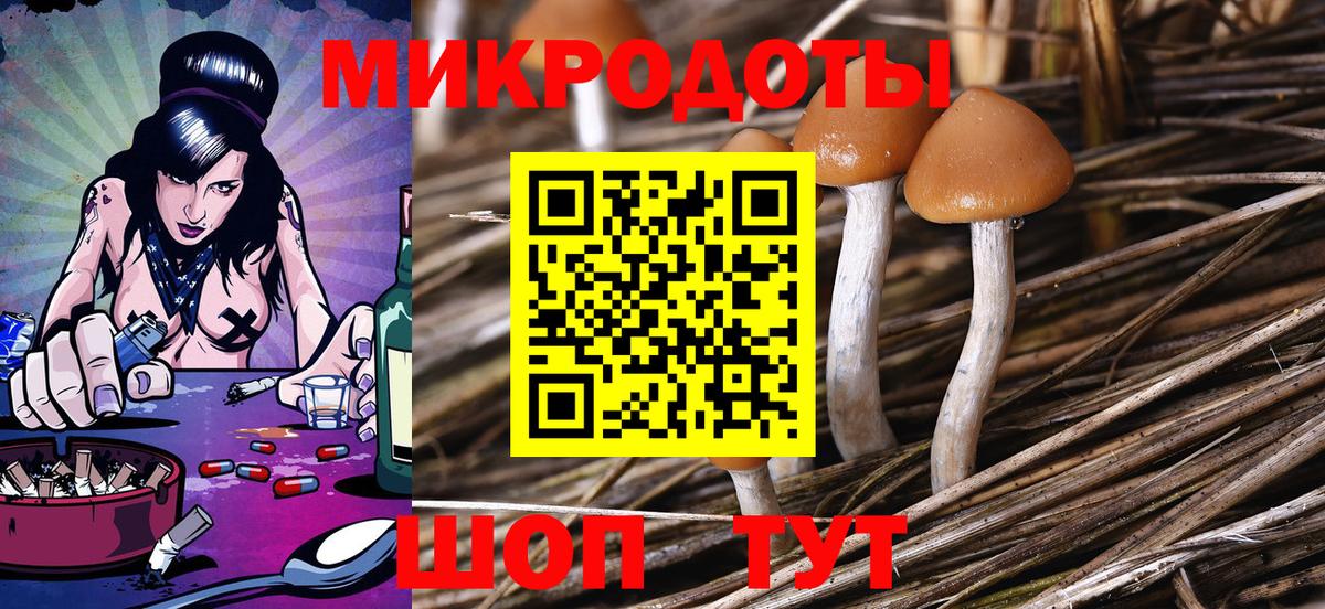 Галлюциногенные грибы Cubensis  Вход с VPN  Королёв  Галлюциногенные грибы прущие грибы 